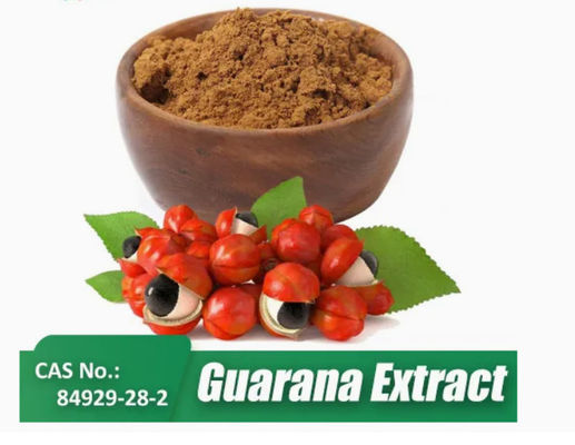 Suplemento de salud Extracto de Paullinia Cupana No CAS 84929-28-2 Extractos de semilla de guaraná