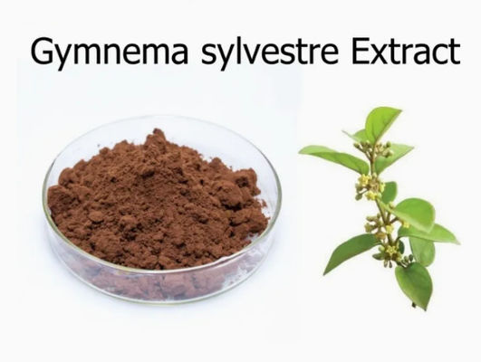 Extracto vegetal Gymnema Sylvestre Extracto CAS NO 90045-47-9 Extracto de raíz o de hierbas en polvo