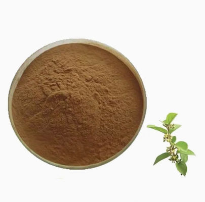 Extracto vegetal Gymnema Sylvestre Extracto CAS NO 90045-47-9 Extracto de raíz o de hierbas en polvo