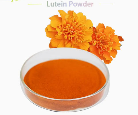 Luteína Natural 5% 20% en Polvo CAS No 127-40-2 Pigmento en Polvo Natural para Piensos Animales