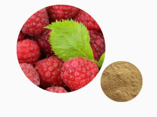 Extracto natural de frambuesa 10/1 CAS NO 38963-94-9 Extracto puro en polvo