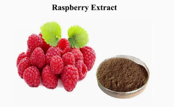 Extracto natural de frambuesa 10/1 CAS NO 38963-94-9 Extracto puro en polvo