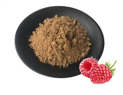 Extracto natural de frambuesa 10/1 CAS NO 38963-94-9 Extracto puro en polvo