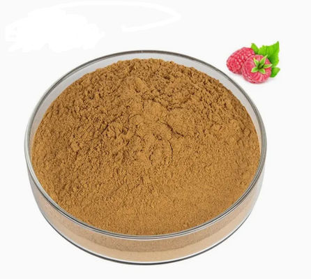 Extracto natural de frambuesa 10/1 CAS NO 38963-94-9 Extracto puro en polvo