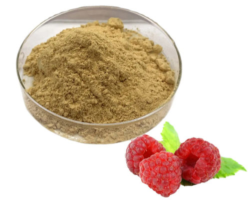 Extracto natural de frambuesa 10/1 CAS NO 38963-94-9 Extracto puro en polvo
