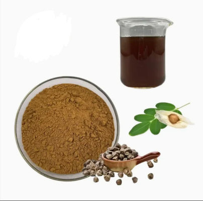 Extracto natural de moringa de planta 10/1 CAS NO 93165-54-9 Polvo de moringa oleifera