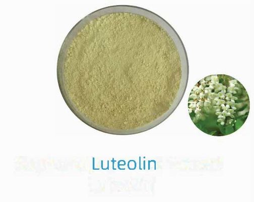 Extracto vegetal natural de luteolina 98% CAS NO 491-70-3 HPLC Polvo antiviral de luteolina