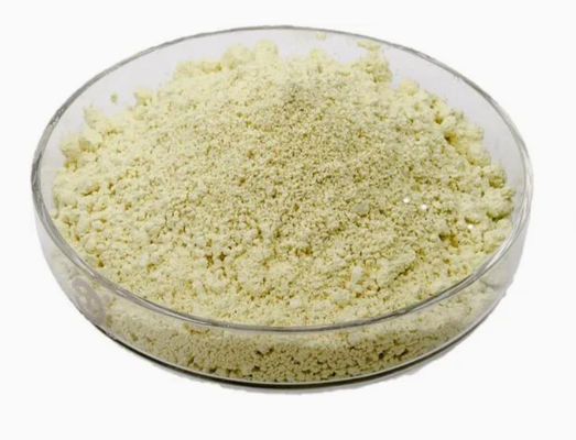 Extracto vegetal natural de luteolina 98% CAS NO 491-70-3 HPLC Polvo antiviral de luteolina