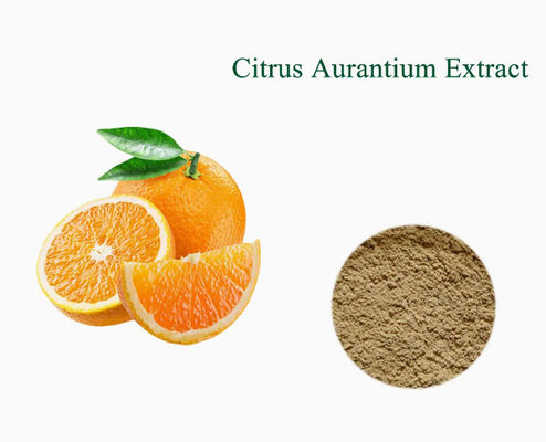 Extracto de sínefrina de cítricos aurantios Extracto de naranja amarga CAS NO 13241-33-3 Polvo para pelar