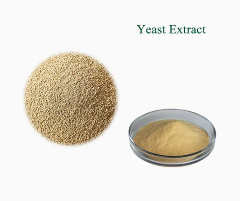 Extracto de levadura 100% natural certificado por ISO CAS NO 8013-01-2 Mejoradores de sabor de los alimentos