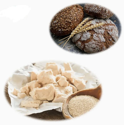 Extracto de levadura 100% natural certificado por ISO CAS NO 8013-01-2 Mejoradores de sabor de los alimentos