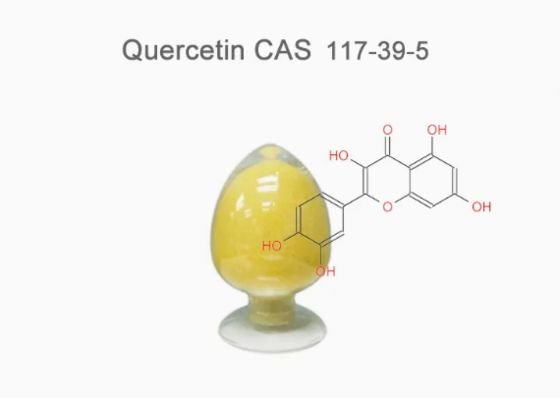 Extracto de planta de grado farmacéutico de quercetina anhidra CAS NO 117-39-5 Polvo amarillo