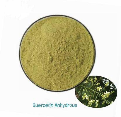 Extracto de planta de grado farmacéutico de quercetina anhidra CAS NO 117-39-5 Polvo amarillo