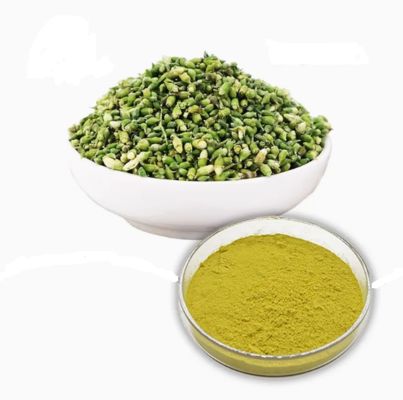 Extracto de planta de grado farmacéutico de quercetina anhidra CAS NO 117-39-5 Polvo amarillo